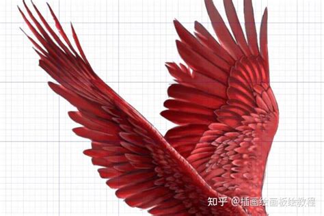 鸟 画|怎么画鸟类动物？教你鸟类动物的结构画法技巧！